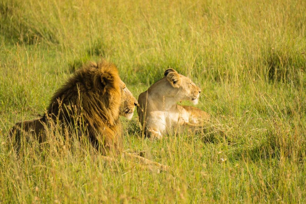 The Gir Harmony Hotel Sasan Gir Zewnętrze zdjęcie